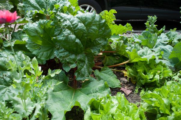 bestand 20200620-133325.JPG