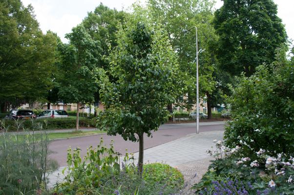 bestand 20200620-133419.JPG