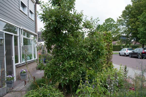 bestand 20200620-133432.JPG