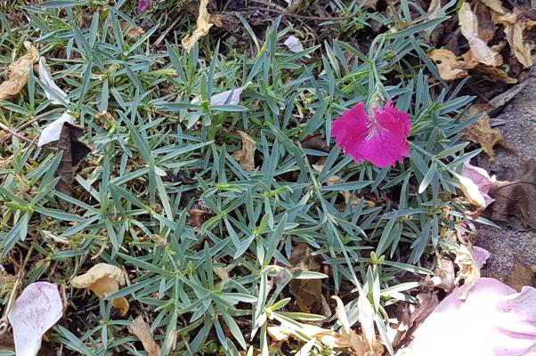 bestand 20200621_140549.jpg