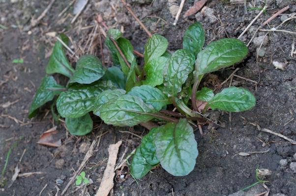 bestand 20200622-155220.JPG