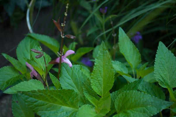 bestand 20200624-103026.JPG