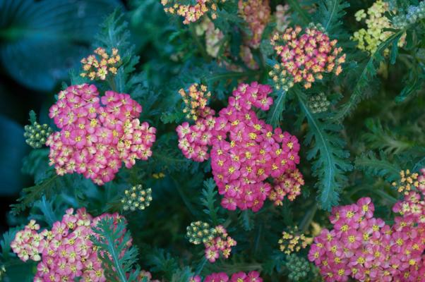 bestand 20200624-110150.JPG