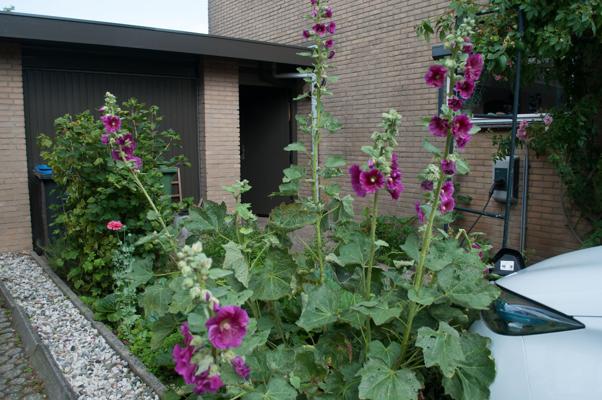 bestand 20200703-105707.JPG