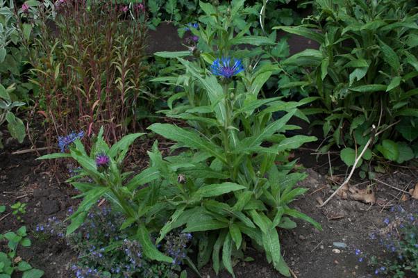 bestand 20200703-110024.JPG