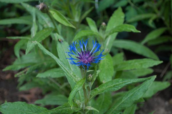 bestand 20200703-110028.JPG