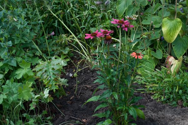 bestand 20200712-122218.JPG