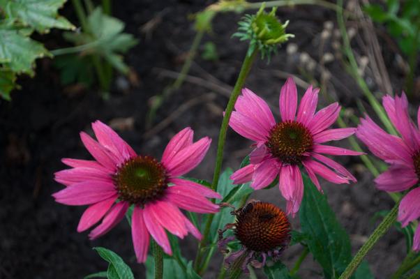 bestand 20200712-122230.JPG