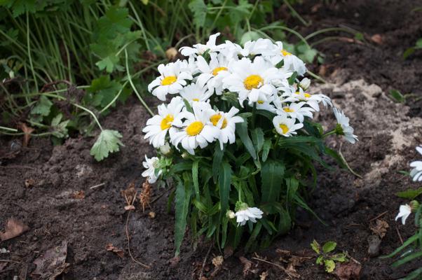 bestand 20200712-122240.JPG