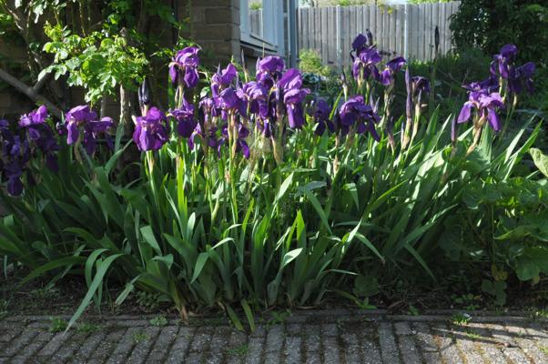 bestand 20210516T183704.JPG