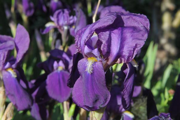 bestand 20210516T183732.JPG