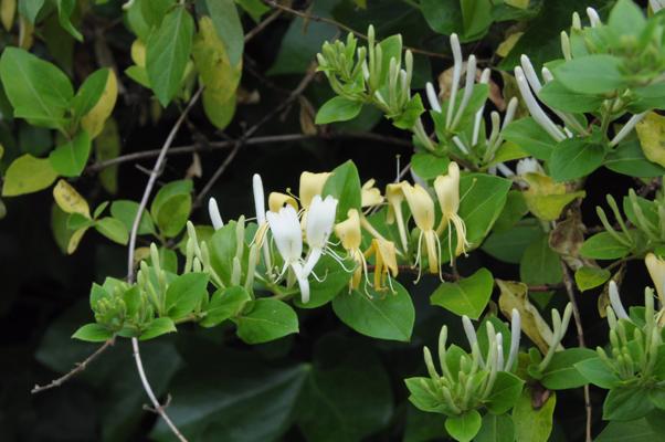 bestand 20210617T123040.JPG