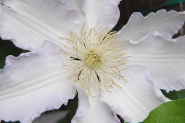 bestand 20210617T123144.JPG